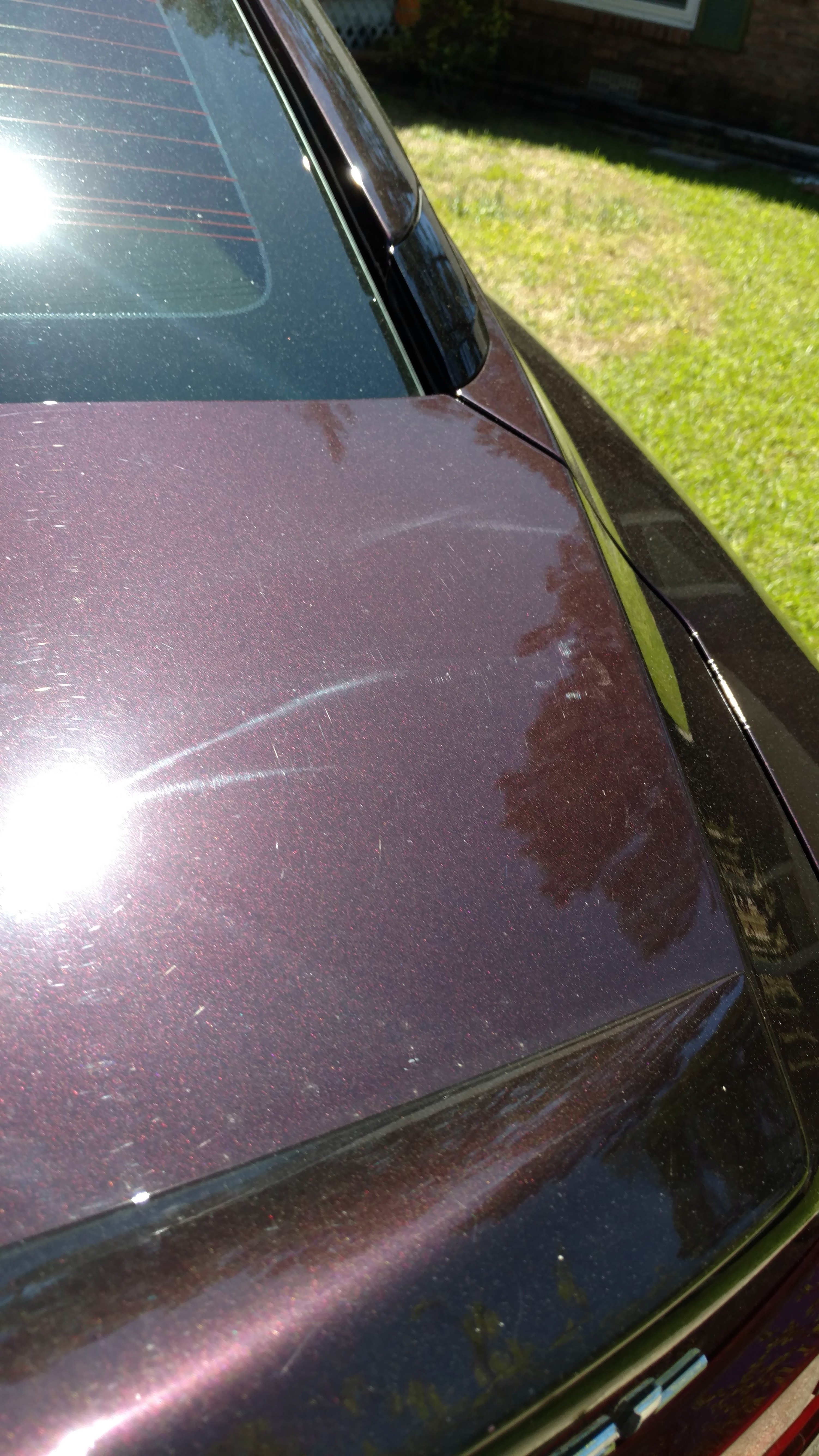 Nissan maxima paint problems