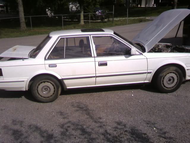 Name:  maxima640x480.jpg
Views: 39
Size:  53.7 KB