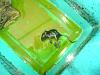 Pictures of the day-dsc00576.jpg