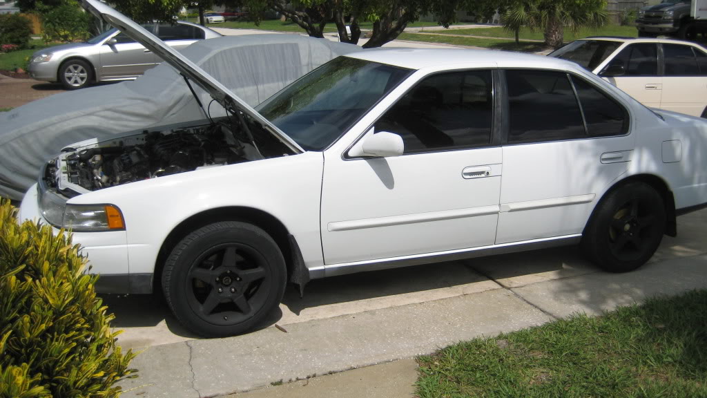 Name: Maxima001.jpg
Views: 104
Size: 115.4 KB