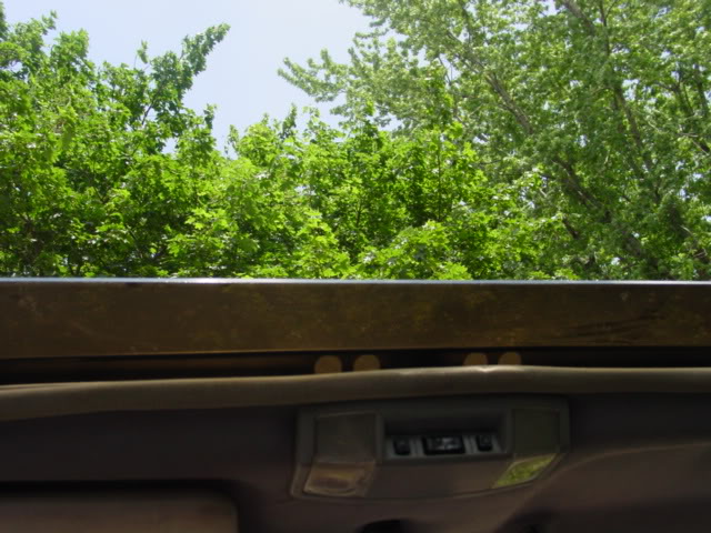 Name:  DSC01168.jpg
Views: 73
Size:  75.1 KB