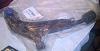 350Z Seat, Warpspeed Y, Tein S-Techs, plus other stuff...-img-20130101-00095.jpg