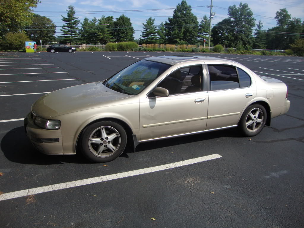 Name:  e8d39a99.jpg
Views: 71
Size:  158.8 KB