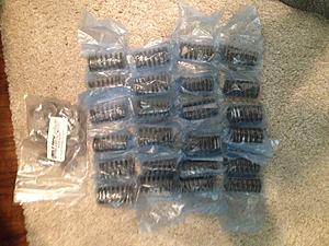 brand new MEVI setup - JWT HD valve springs - UD Pulley - Tokico blue rears-jwt-springs.jpg