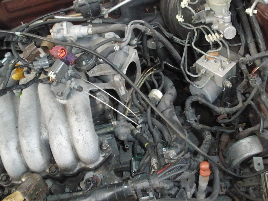 Name:  P9091214.jpg
Views: 238
Size:  127.2 KB