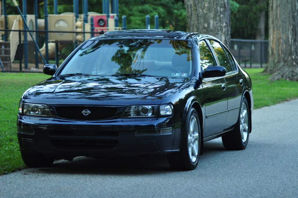 Name:  DSC_6095.jpg
Views: 1845
Size:  222.2 KB