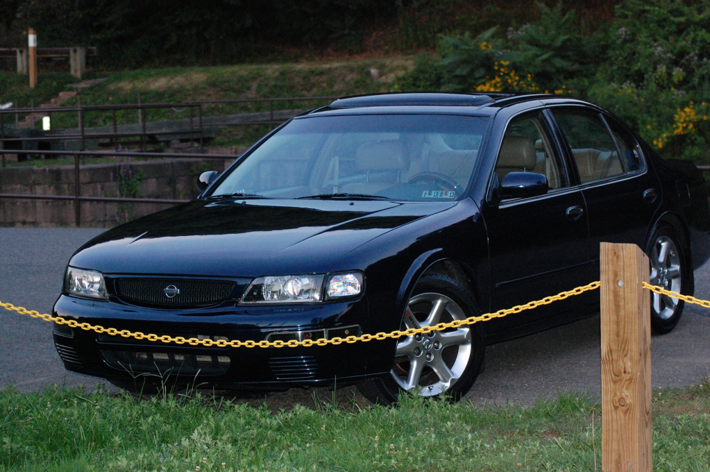 Name:  DSC_0906.jpg
Views: 1948
Size:  419.9 KB