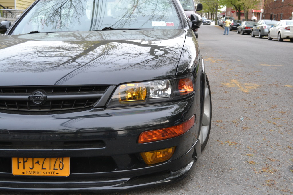 Name:  DSC_0016.jpg
Views: 80
Size:  228.8 KB