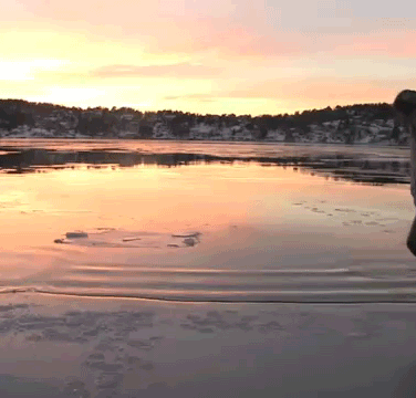 Name:  lOCgz.gif
Views: 15
Size:  1.70 MB