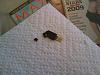 Parking Brake Sensor-image_031.jpg