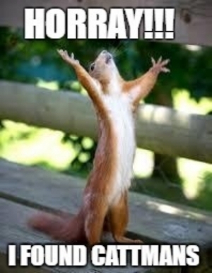 Name:  hooray_squirrel_zpszlqtvael.jpg
Views: 44
Size:  72.9 KB