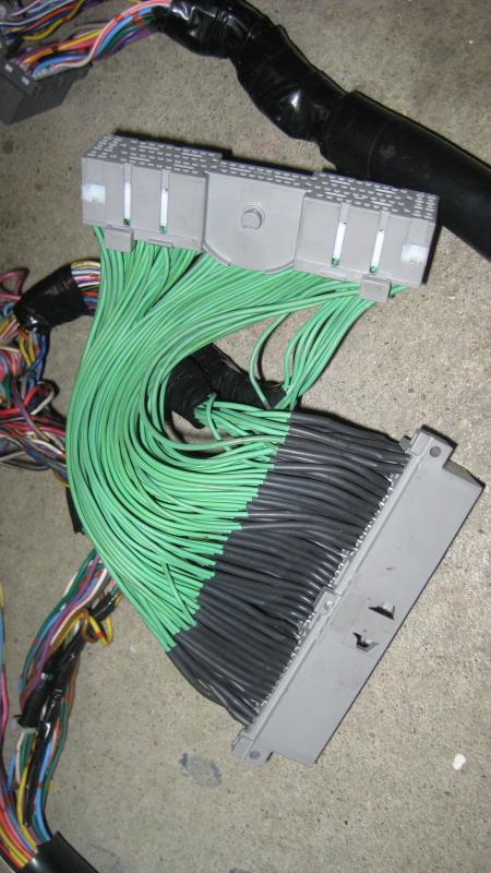Name:  EMU20002001HARNESS002_zps3441282b.jpg
Views: 13
Size:  67.7 KB