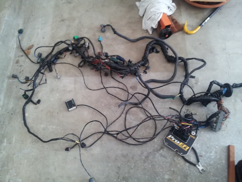 Name:  20120917_145131.jpg
Views: 18
Size:  71.2 KB