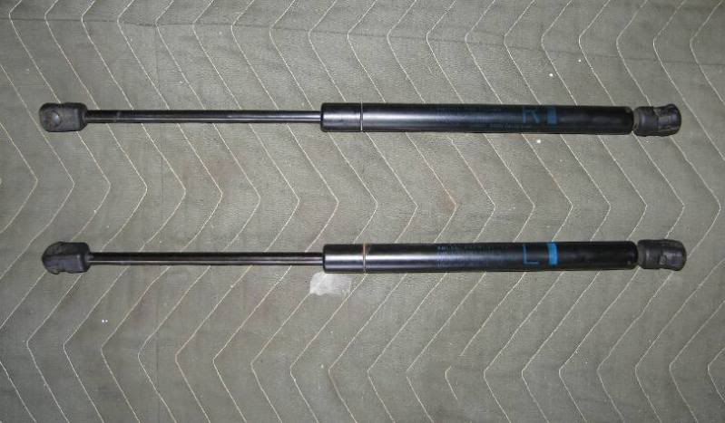 Name: maxhoodstruts.jpg
Views: 293
Size: 48.1 KB