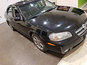 2003 Maxima TE Partout-27659097_1821229751221969_1948563806_n.jpg