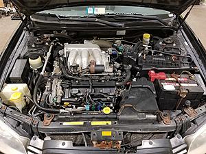 2003 Maxima TE Partout-27658471_1821229951221949_1295588606_n.jpg