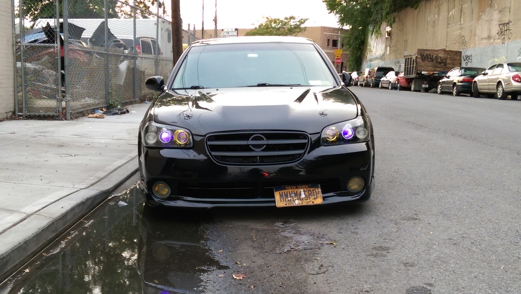 Name:  IMAG5639.jpg
Views: 104
Size:  280.3 KB