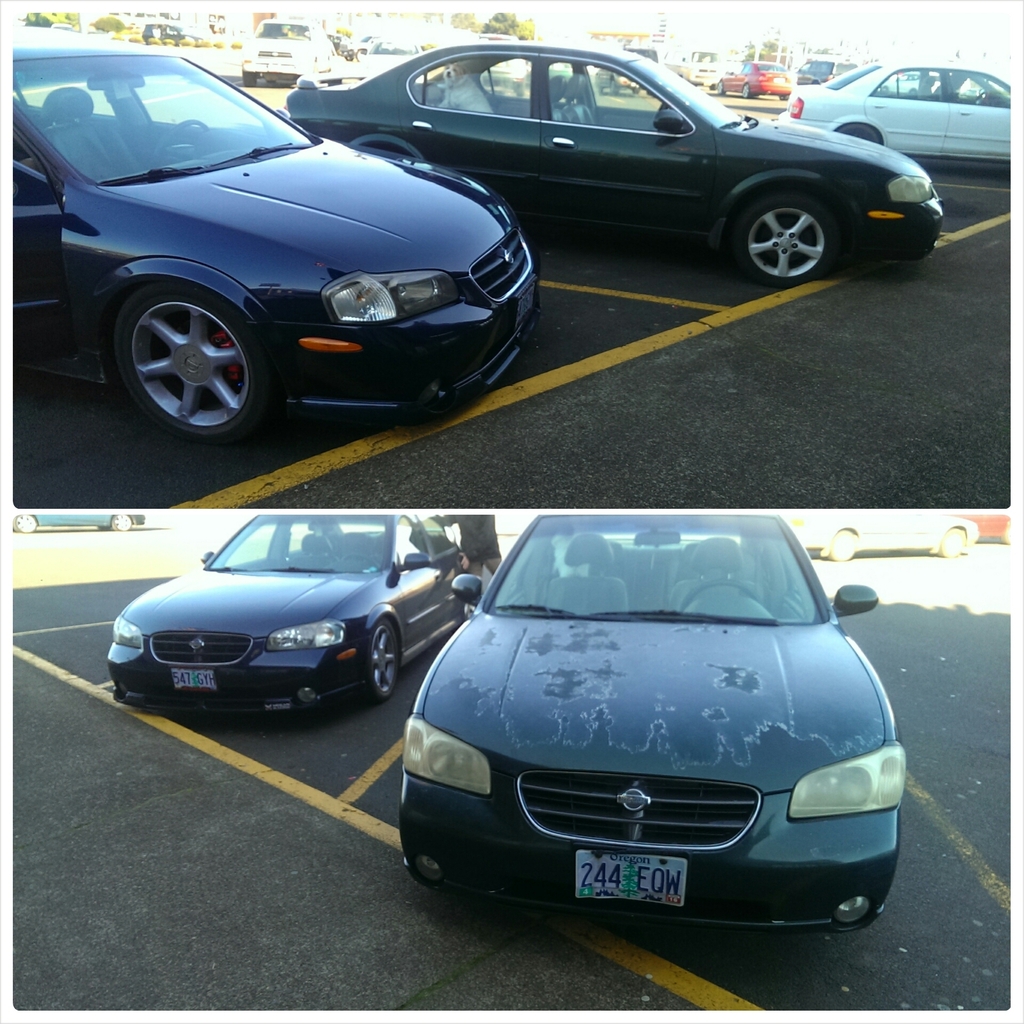 Name:  PhotoGrid_1428206410230_zpswzmktol8.jpg
Views: 483
Size:  686.6 KB