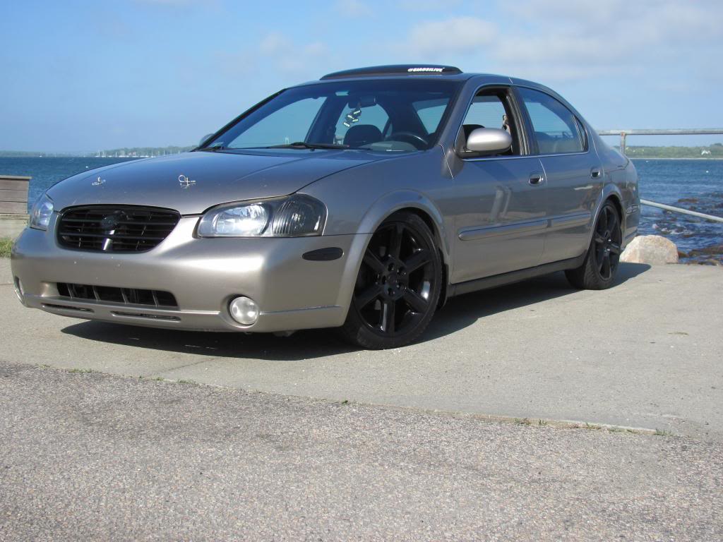 Name: MAXIMA001_zps42cd5cf6.jpg
Views: 395
Size: 103.8 KB
