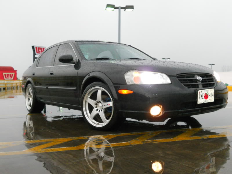 Name:  DSCN1838.jpg
Views: 90
Size:  62.5 KB