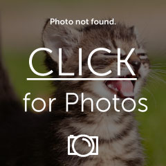 Name:  4c185e7fe4456121cdd276b12a21e28a.jpg
Views: 42
Size:  14.0 KB
