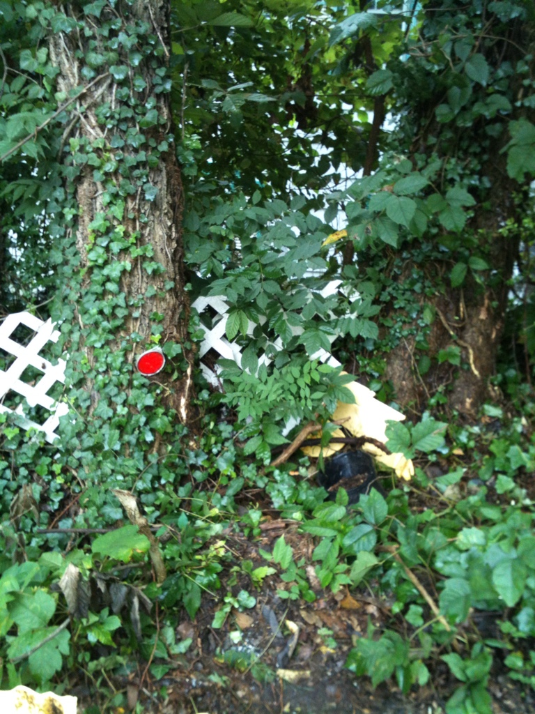 Name:  DBBB4431-AD3F-4E91-A3D9-5A4021EE993D-7131-0000041DA252BA32.jpg
Views: 60
Size:  423.7 KB