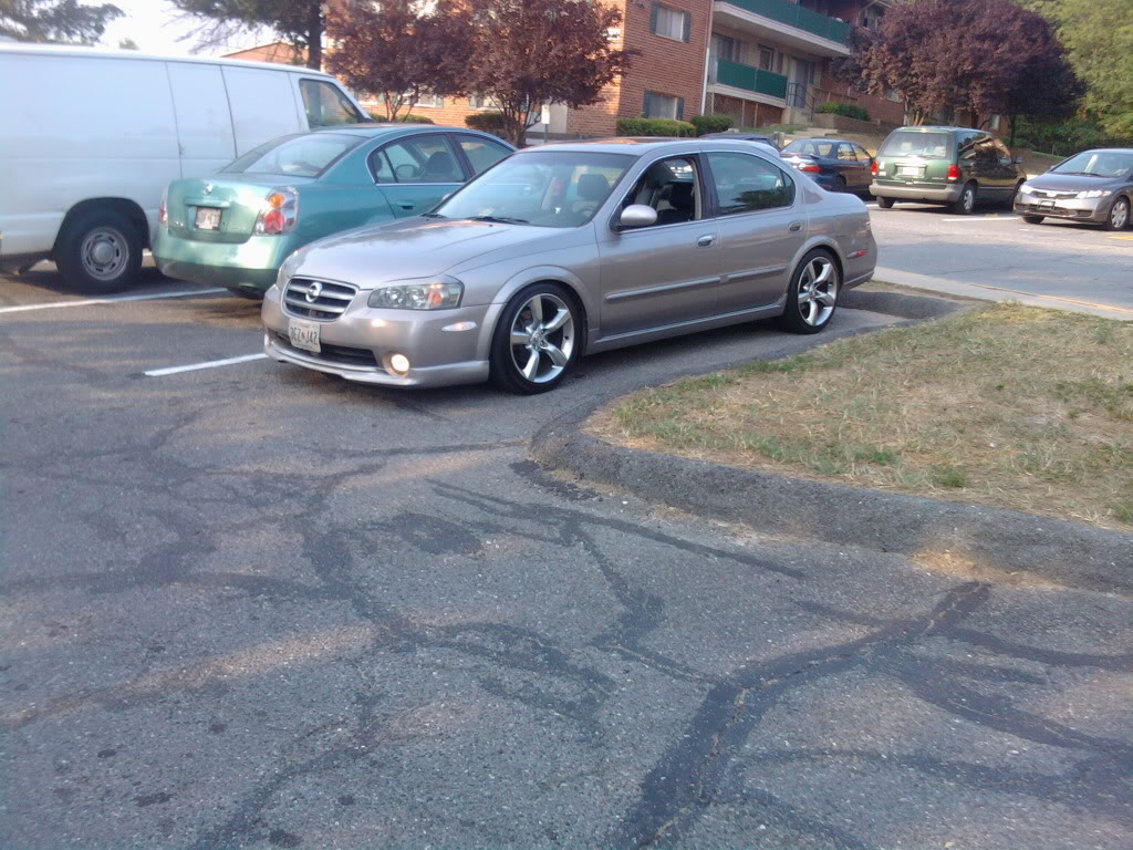 Name:  cb7adf95.jpg
Views: 46
Size:  229.3 KB
