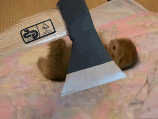 Name: 4HkW6juw.gif
Views: 32
Size: 890.1 KB