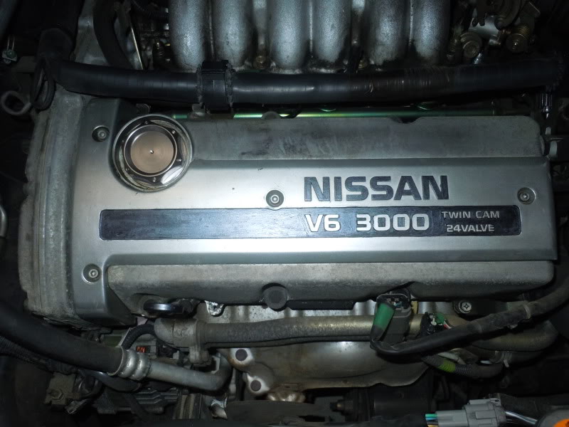 Name:  DSCN11201.jpg
Views: 64
Size:  76.0 KB