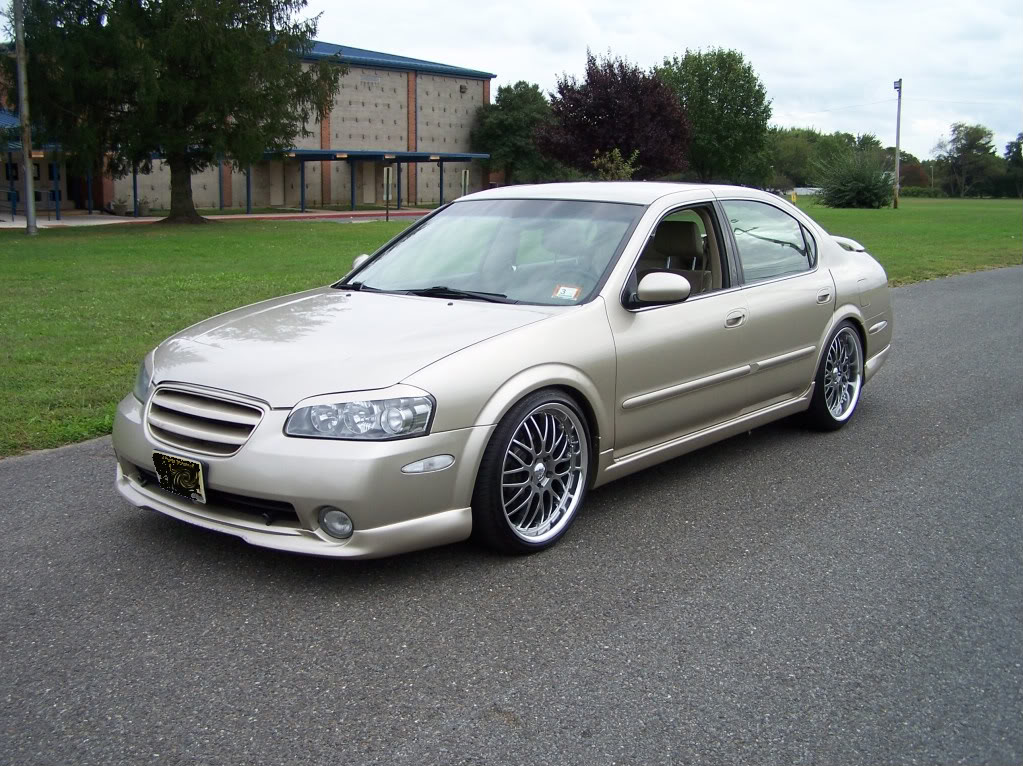 Name:  photo11.jpg
Views: 36
Size:  205.3 KB