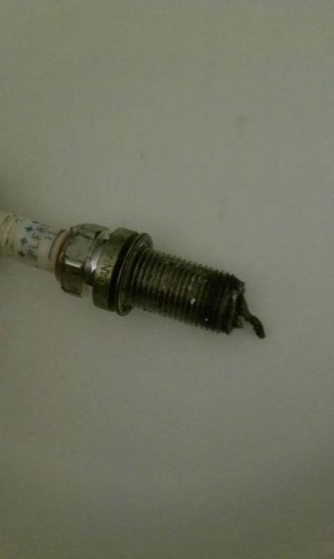 Name:  pulg1.jpg
Views: 25
Size:  12.0 KB
