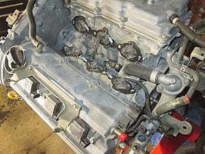 2001 Maxima thermostat-img_7149.jpg