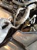Name This Hose (Pretty Please!!)-maxima-hose.jpg