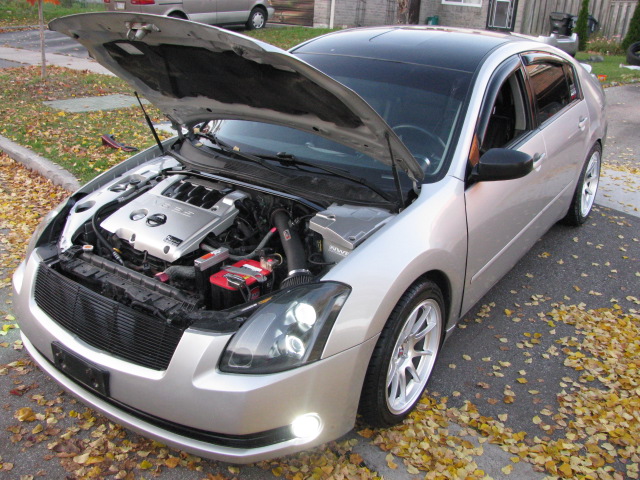 Name:  PRE-WINTERMODE027.jpg
Views: 284
Size:  164.5 KB