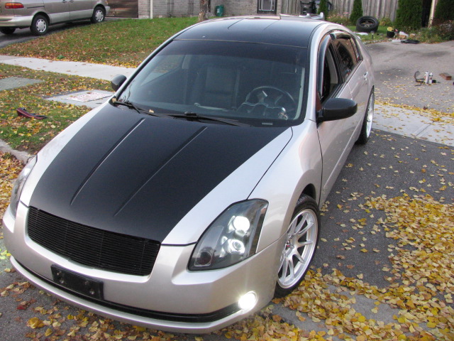 Name:  PRE-WINTERMODE035.jpg
Views: 159
Size:  152.7 KB