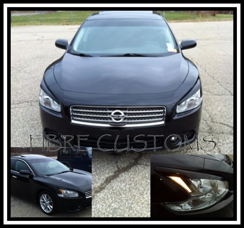 Name:  Maxima09eyelids1.jpg
Views: 383
Size:  79.8 KB