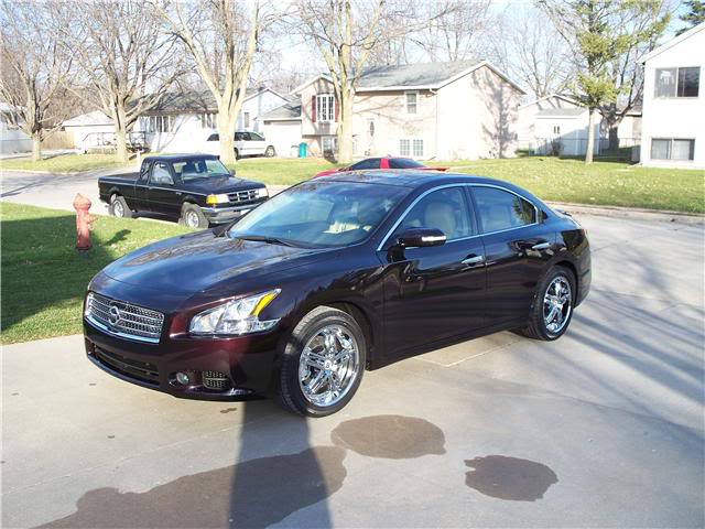 Name:  2010Maxima1.jpg
Views: 1837
Size:  60.7 KB