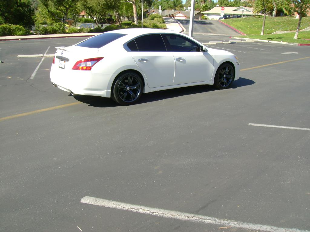 Name:  DSC01192.jpg
Views: 834
Size:  88.8 KB