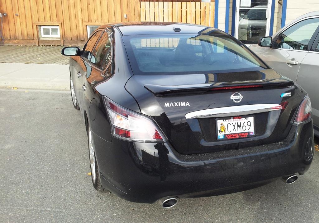 Name:  rear.jpg
Views: 15
Size:  133.9 KB