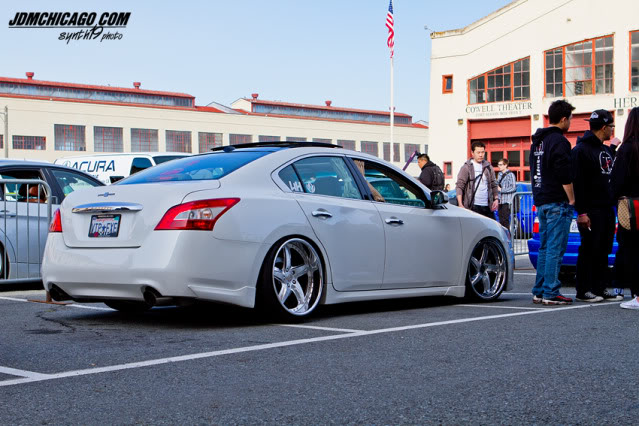Name: maxima-1.jpg
Views: 2581
Size: 78.7 KB