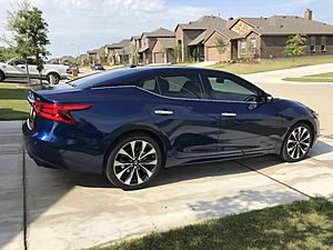 New 2017 Maxima SR-img_3962.jpg