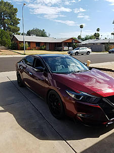 Maxima not many on the road......-photo151.jpg