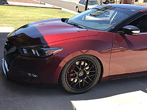 Coilovers-photo849.jpg