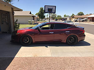 Coilovers-photo822.jpg