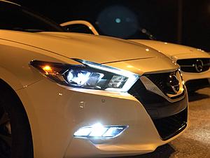 New member!-img_e0226.jpg