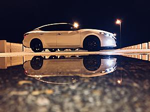 New member!-img_e0222.jpg