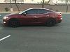 Stillen has arrived!-photo153.jpg