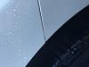 Peeling white paint on new maxima-image.jpeg