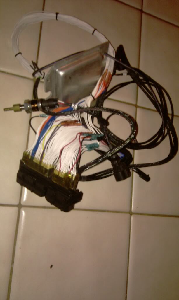 Name:  0_IMAG0033.jpg
Views: 334
Size:  54.3 KB