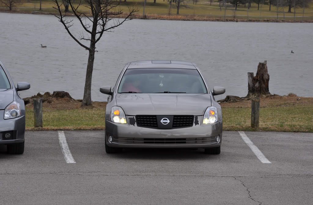 Name:  DSC_0042_resized.jpg
Views: 46
Size:  132.8 KB